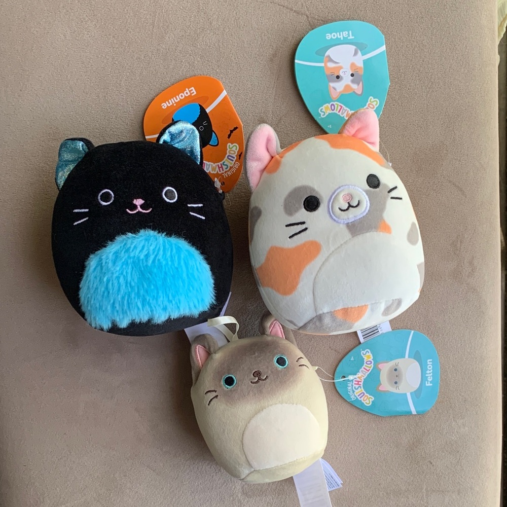 Cat Kitten Squishmallows Bundle